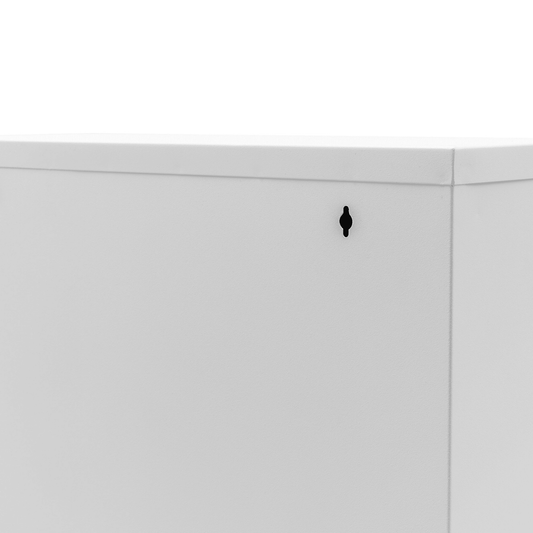 Gowoll Schuhschrank (2 Klappen Weiß)