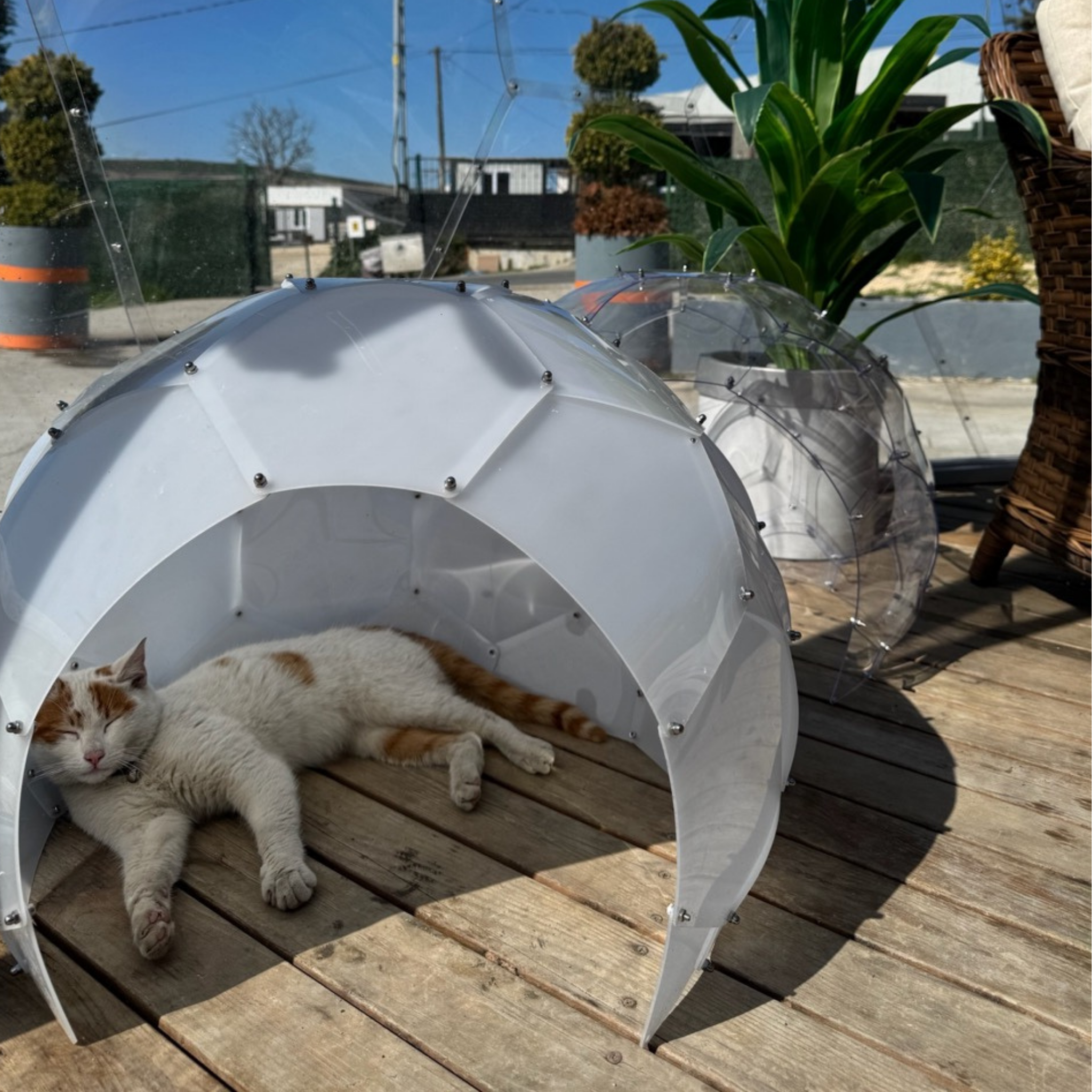 Gowoll Garten-Kuppel