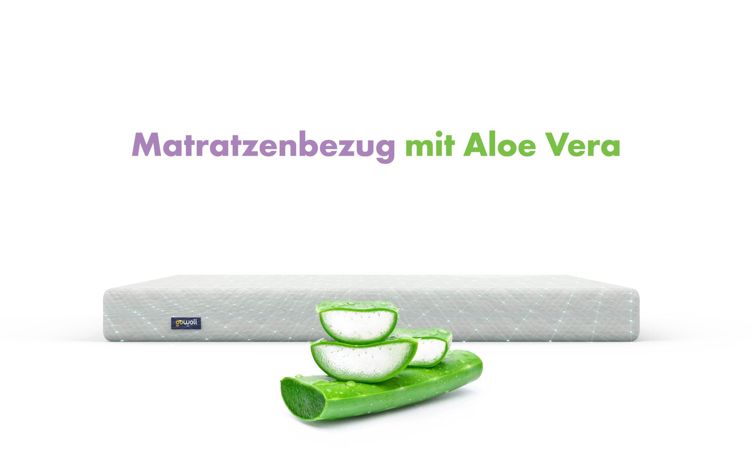 Gowoll Petek Waben Boxspringbett Set 160x200 cm – Stauraum & Duo Comfort 7-Zonen Matratze H3