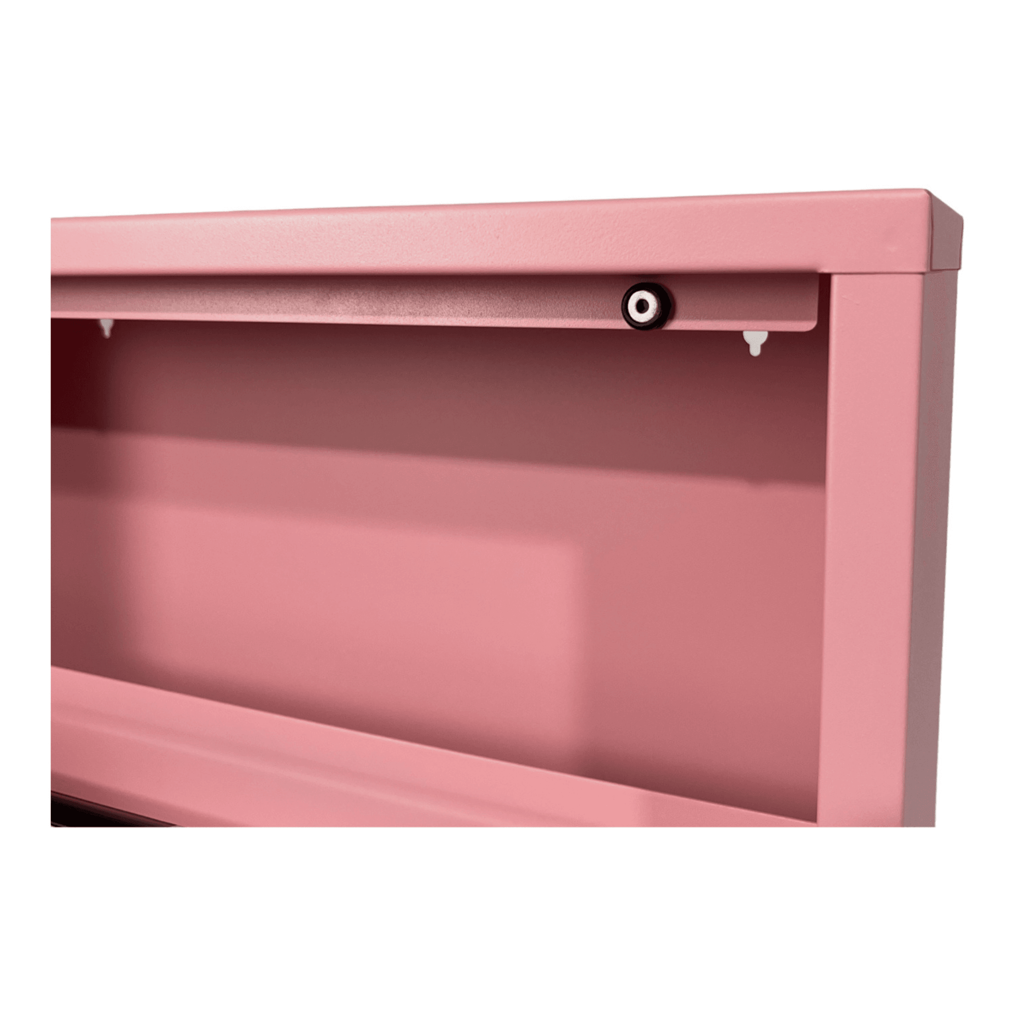 Gowoll Schuhschrank (2 Klappen Pink)