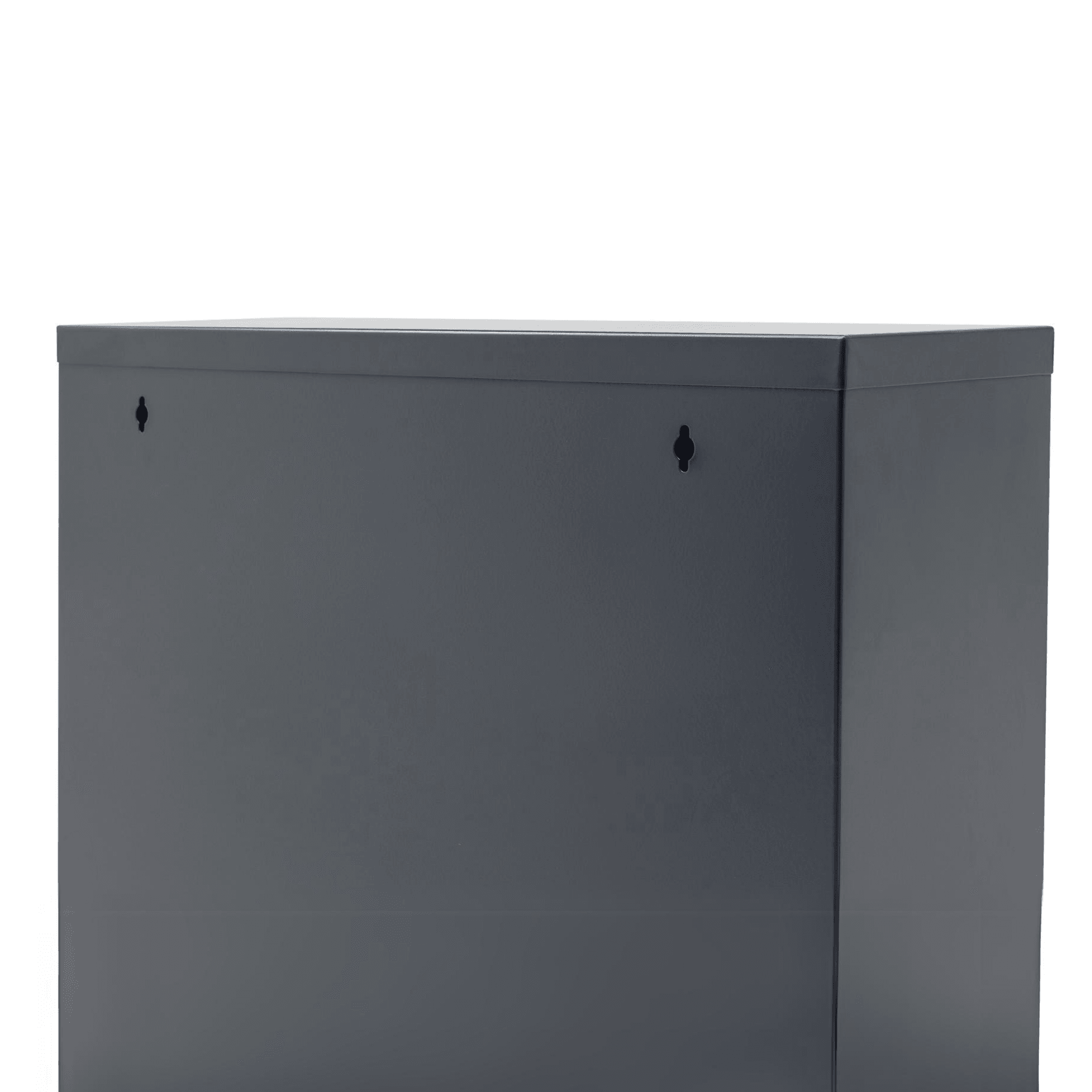 Gowoll Schuhschrank (2 Klappen Anthrazit)