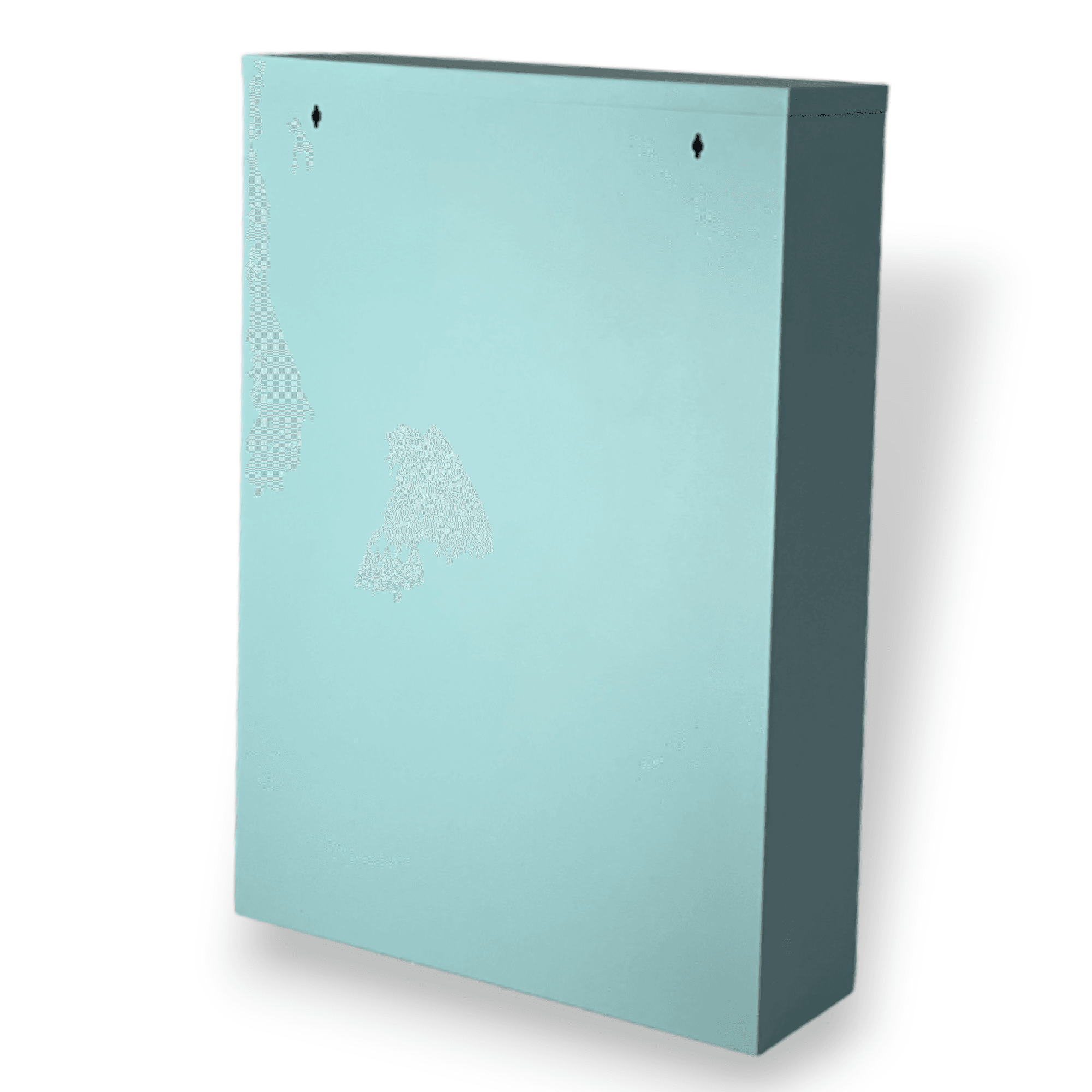 Gowoll Schuhschrank (2 Klappen Turkıs)