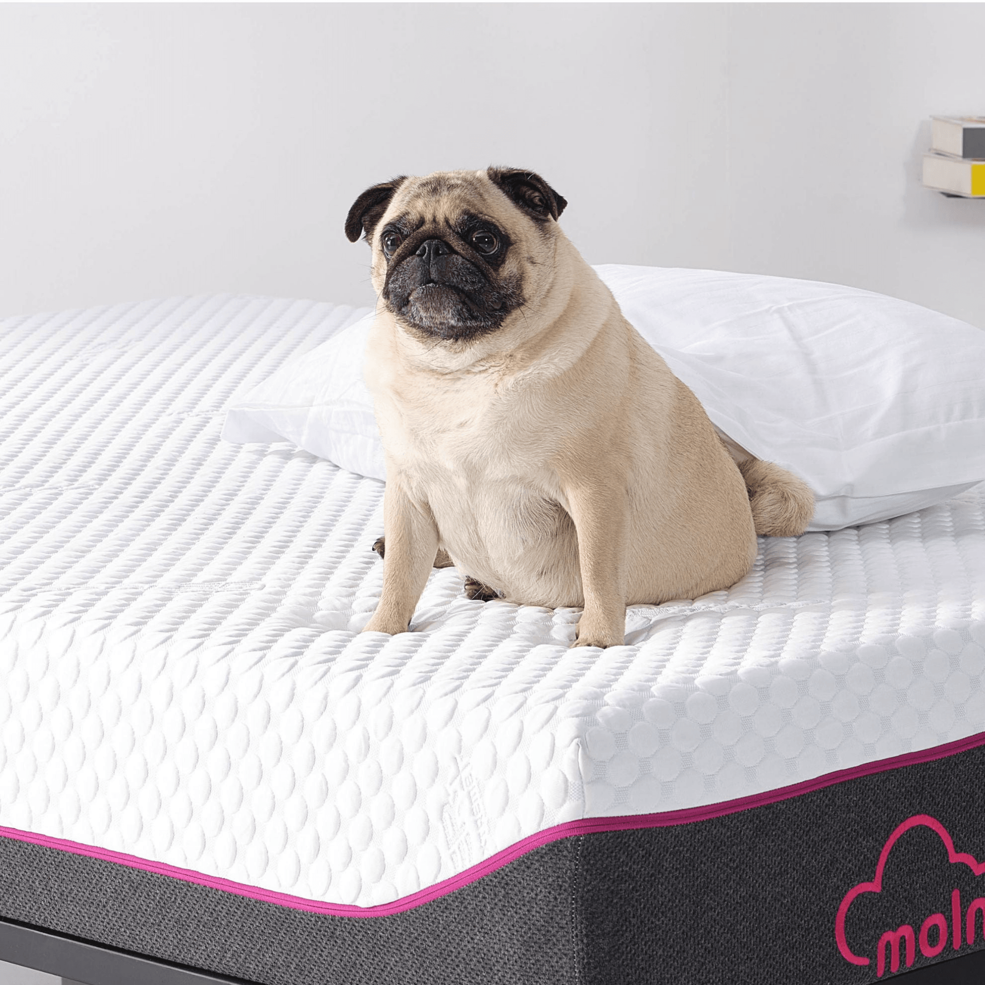 Moln Anja Viscoschaum Memory Matratze