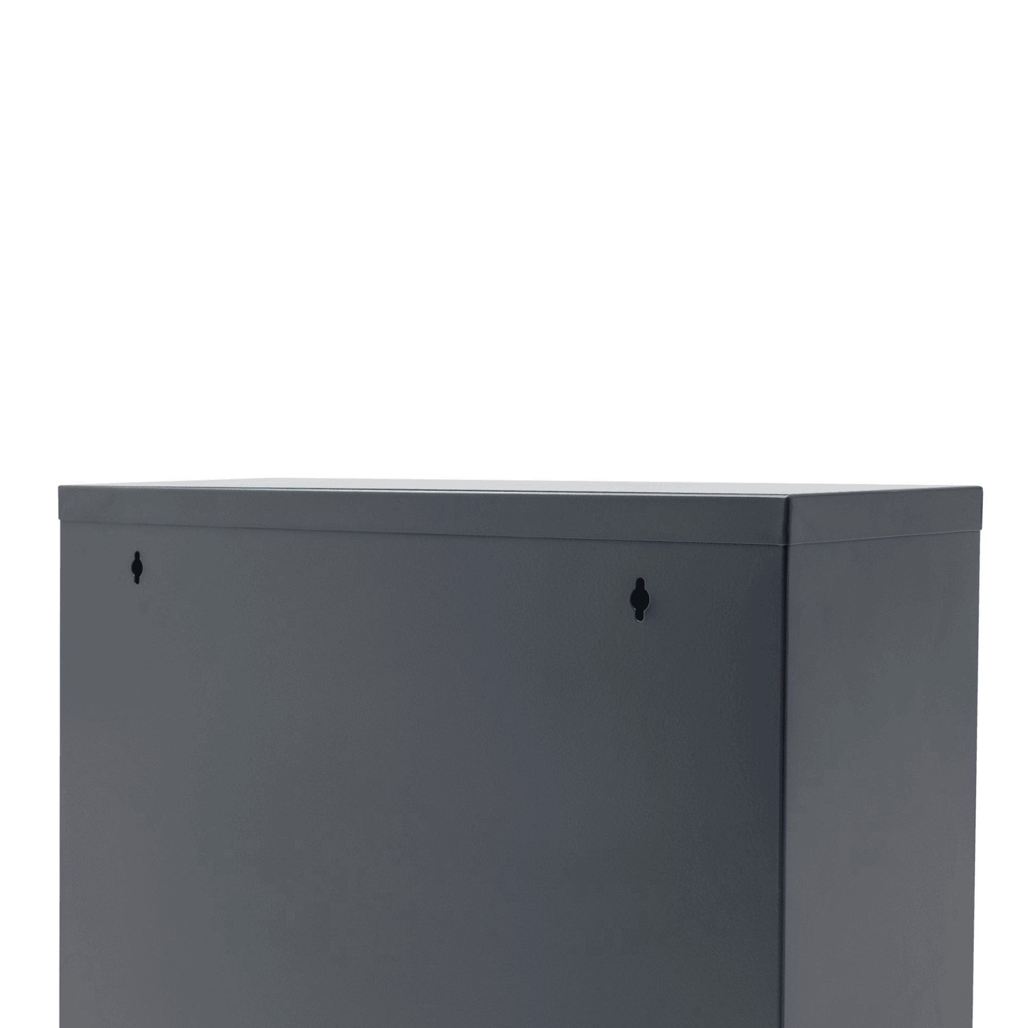 Gowoll Schuhschrank (4 Klappen Schwarz)