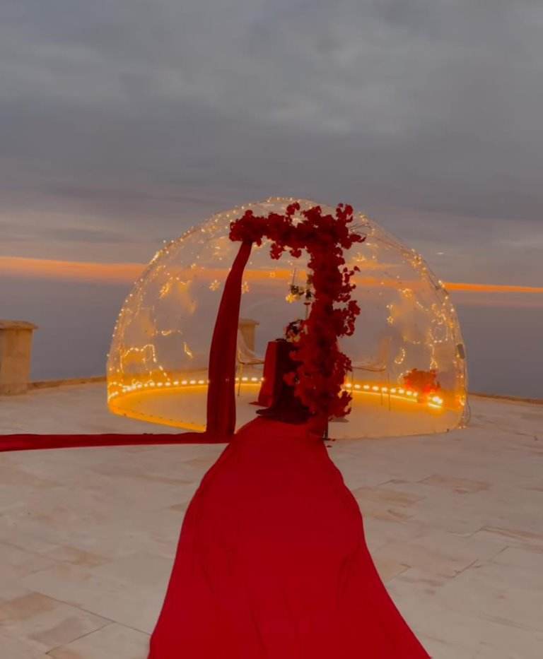 Gowoll Garten-Kuppel